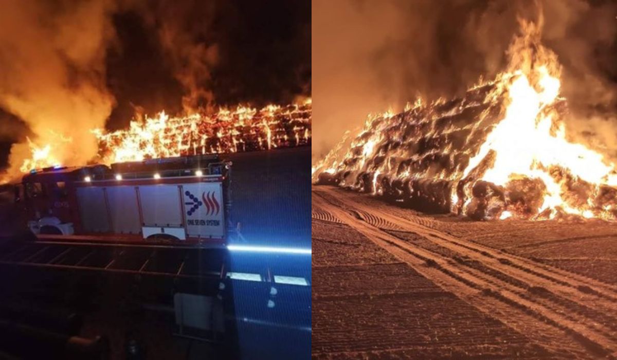 Wielkopolskie: rolnicy oferują 5 tys. zł za wskazanie seryjnego podpalacza