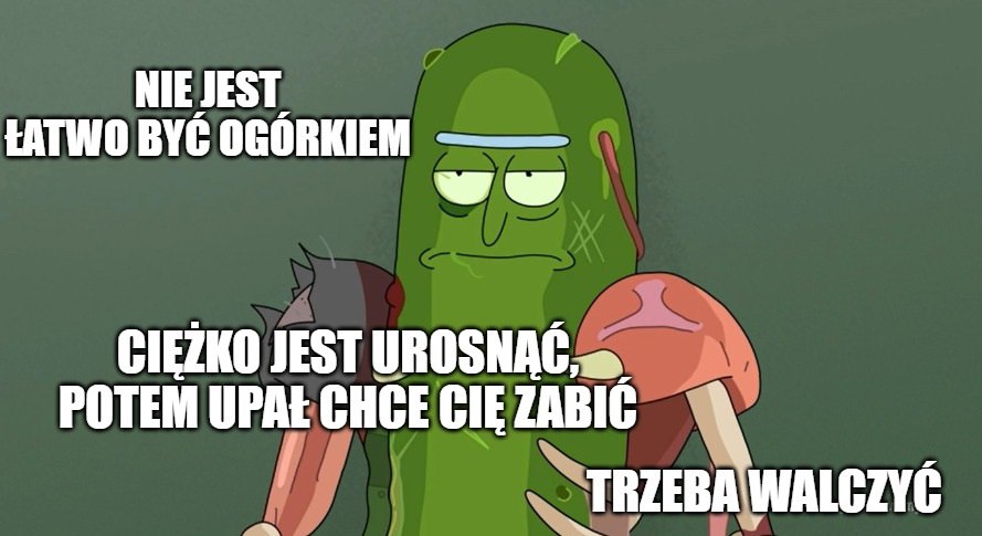 Japonia: sezon ogórkowy bez ogórków, wzrost cen nawet o 70%, wynik chłodnego lata i braku słońca