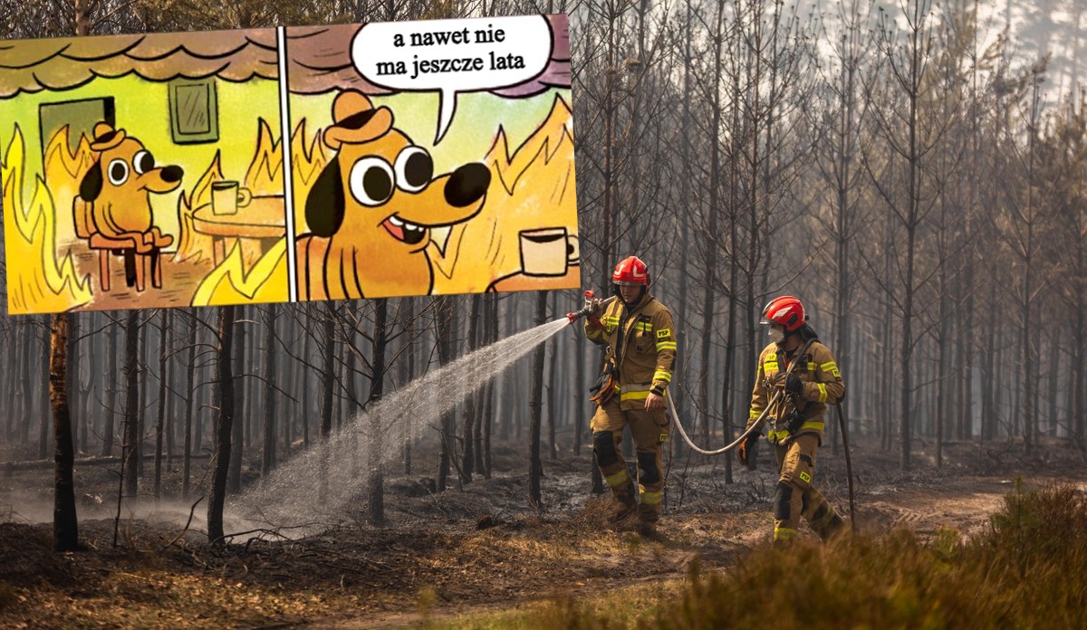 Udało się opanować pożar Puszczy Solskiej, ale zagrożenie będzie trwało jeszcze długo