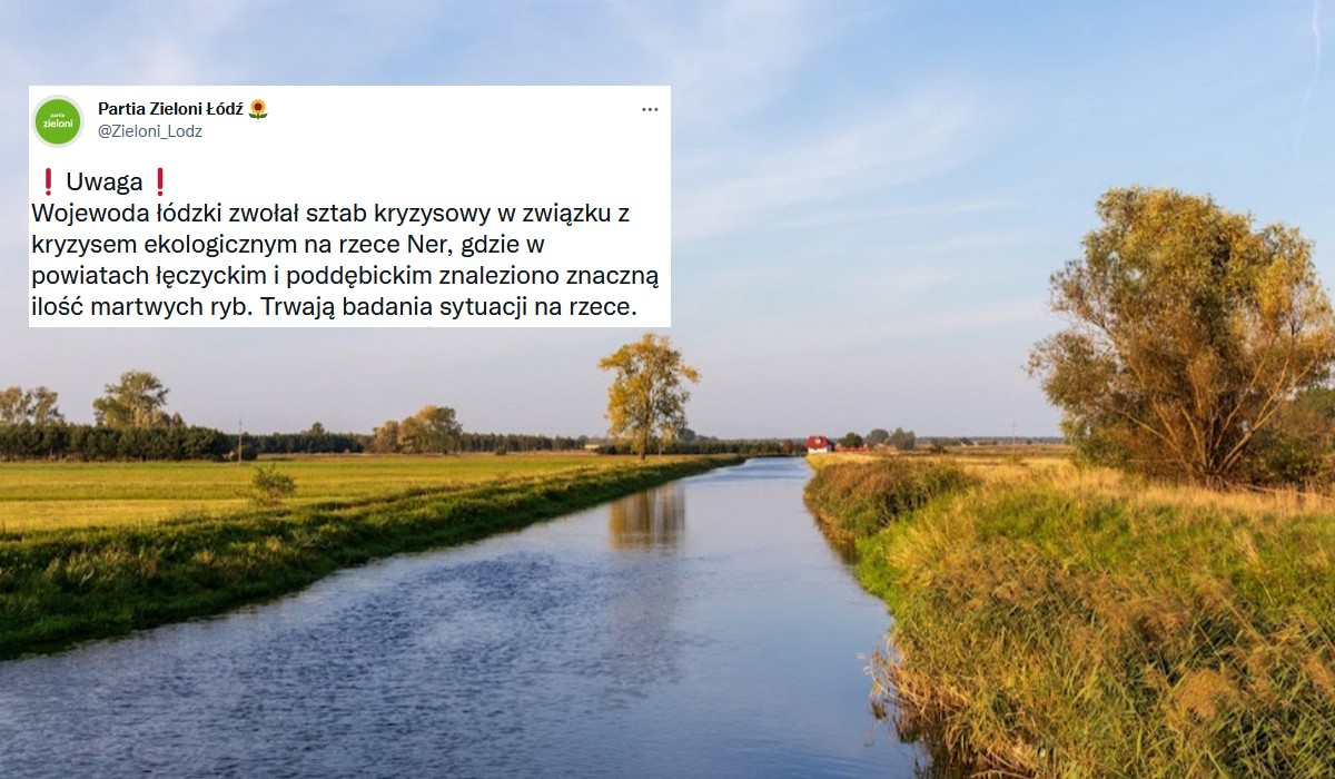 Znaleziono kolejne martwe ryby, tym razem w rzece Ner