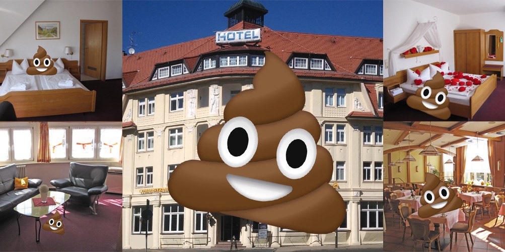 Wyborcza: niemieckie miasto zrywa umowę partnerską z polskim, bo samorządowcy zostawili w hotelu odchody