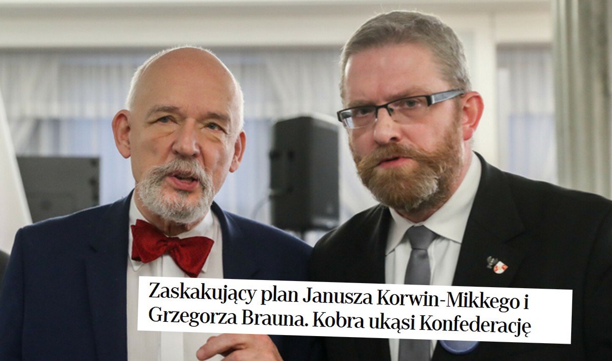 Grzegorz Braun i Janusz Korwin-Mikke planują założyć wspólną partię polityczną o nazwie Kobra