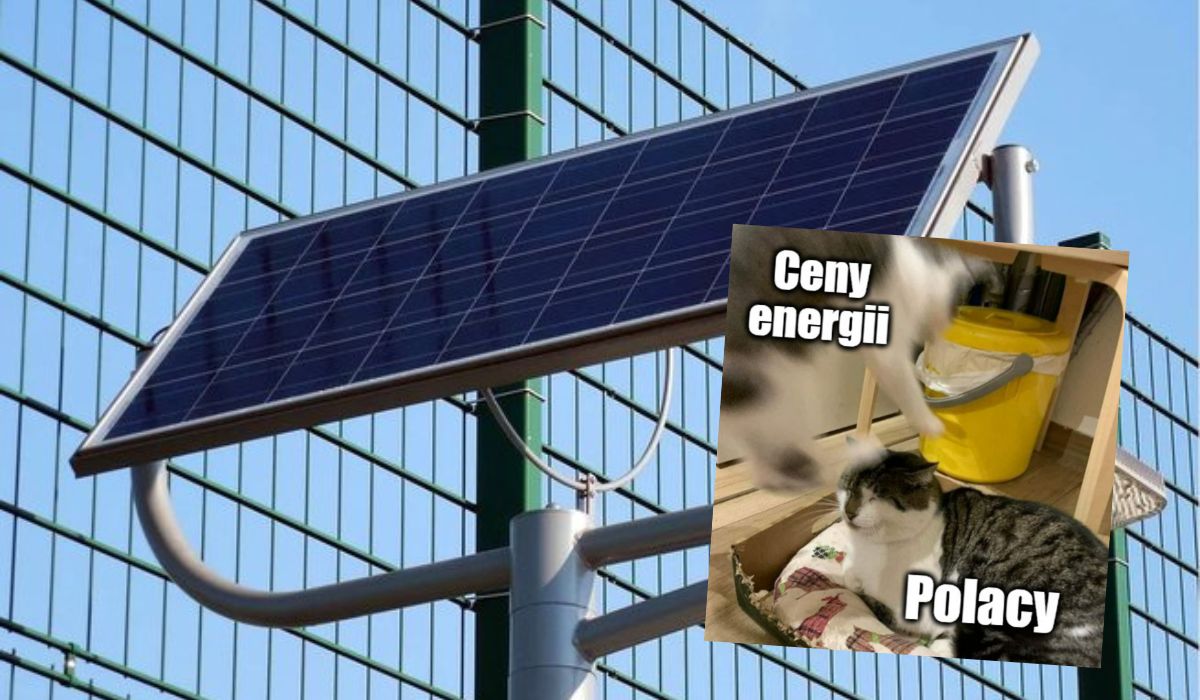 Niepołomice powołały gminną spółdzielnię energetyczną do zarządzania energią z OZE