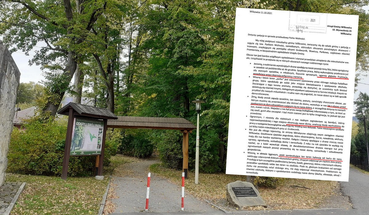 Wilkowice: mieszkańcy chcą wyciąć park, bo przeszkadza im śpiew ptaków i rosnące drzewa, bo spadają z nich liście