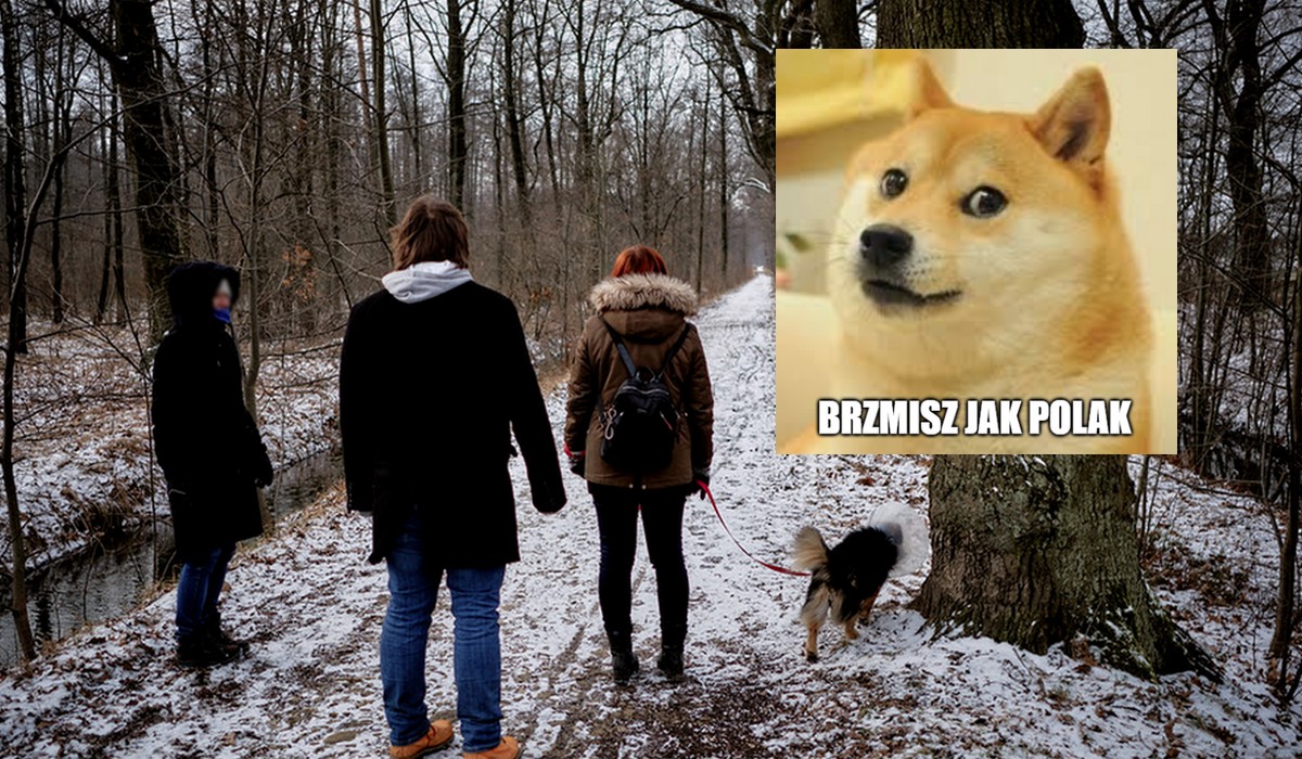 Badanie: węgierscy naukowcy odkryli, że psy rozróżniają języki