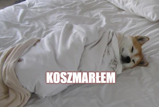Coraz więcej osób narzeka na męczące, niezwykle intensywne sny: efekt uboczny pandemii