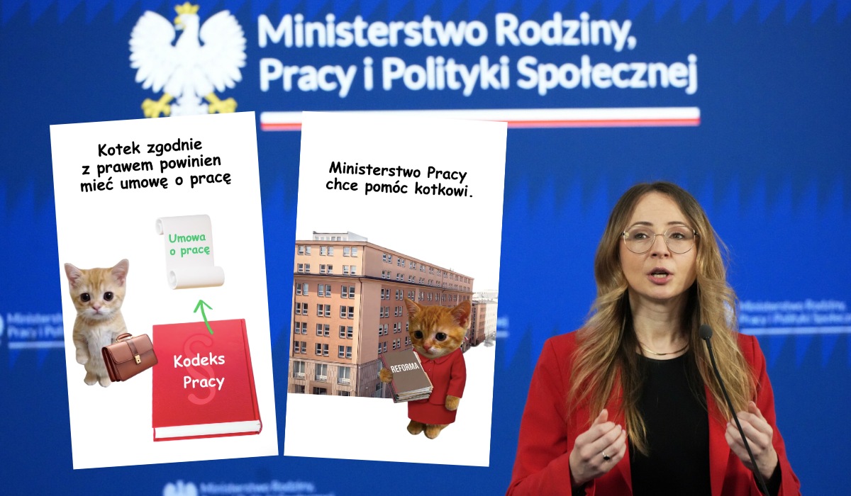 Ministerstwo wyjaśniło na kotkach na czym polega reforma Państwowej Inspekcji Pracy