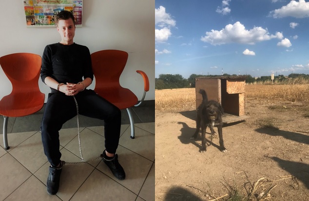 Zabrał psy, żeby uratować je przed śmiercią, został oskarżony o kradzież