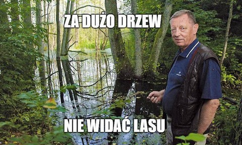 Ministerstwo Środowiska chce budować domy z drewna. Na początek za 50 milionów