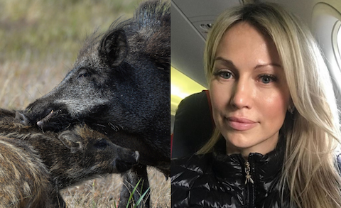 Ogórek: jakim cudem locha nosi w sobie małego dzika, a kobieta w ciąży "zlepek komórek"?