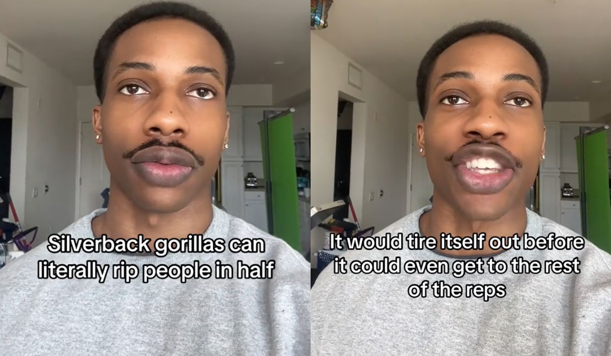 Z jakiegoś powodu pół internetu dyskutuje, czy 100 mężczyzn pokonałoby jednego goryla