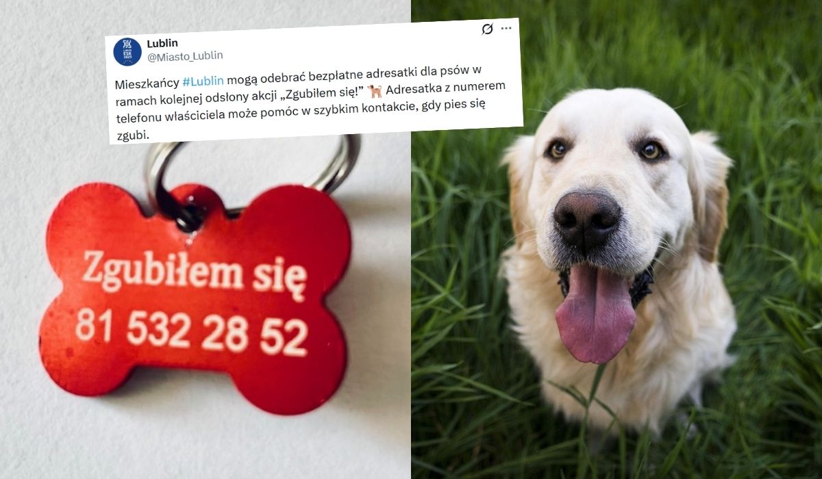 Lublin ponawia akcję rozdawania adresatek dla psów, bo oszczędza stresu ludziom i zwierzętom