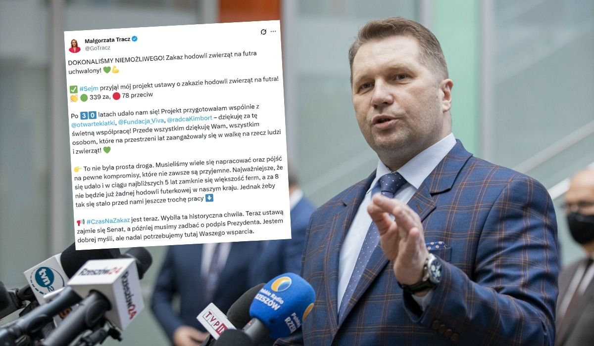 Przemysław Czarnek oburzony zakazem hodowli na futra, tłumaczy, że zwierzęta "nie mają praw"