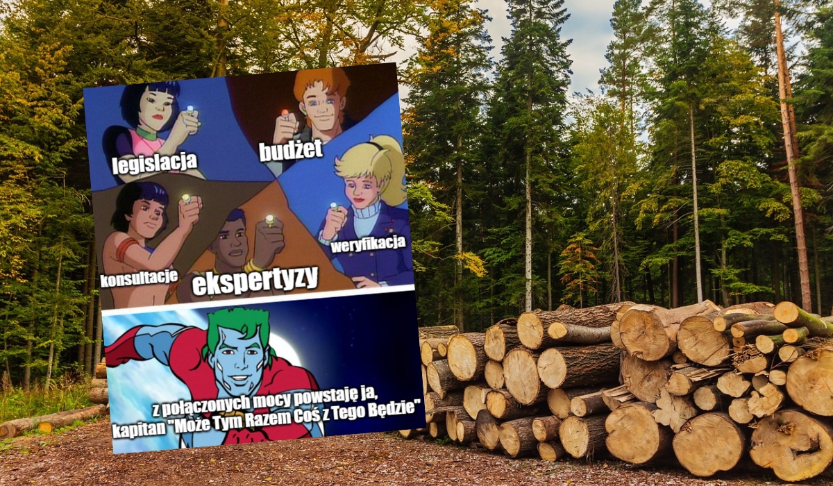 Ministerstwo powołało zespół urzędników-mścicieli, którzy mają pilnować zieleni i ukrócić wycinki drzew i krzewów