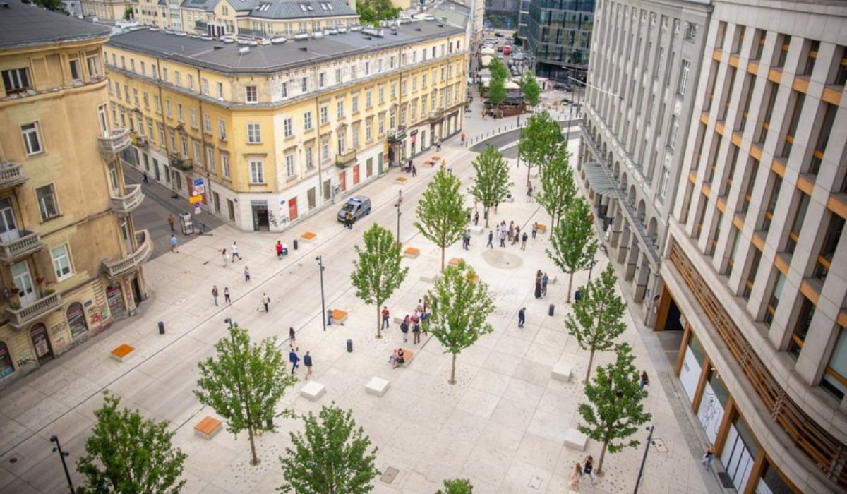 Badanie: więcej drzew w miastach może zapobiegać wielu przedwczesnym śmierciom