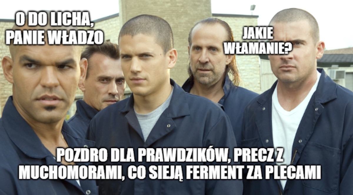 Śląsk: policja przyjechała do włamania, złodzieje przystąpili do udawania grzybobrania