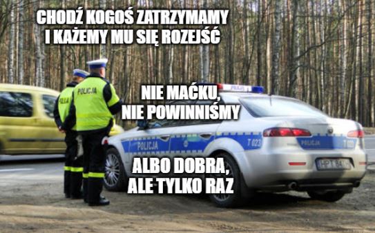 Kot Sejmowy tłumaczy ryzyko wprowadzenia przepisu "policjant ma zawsze rację"