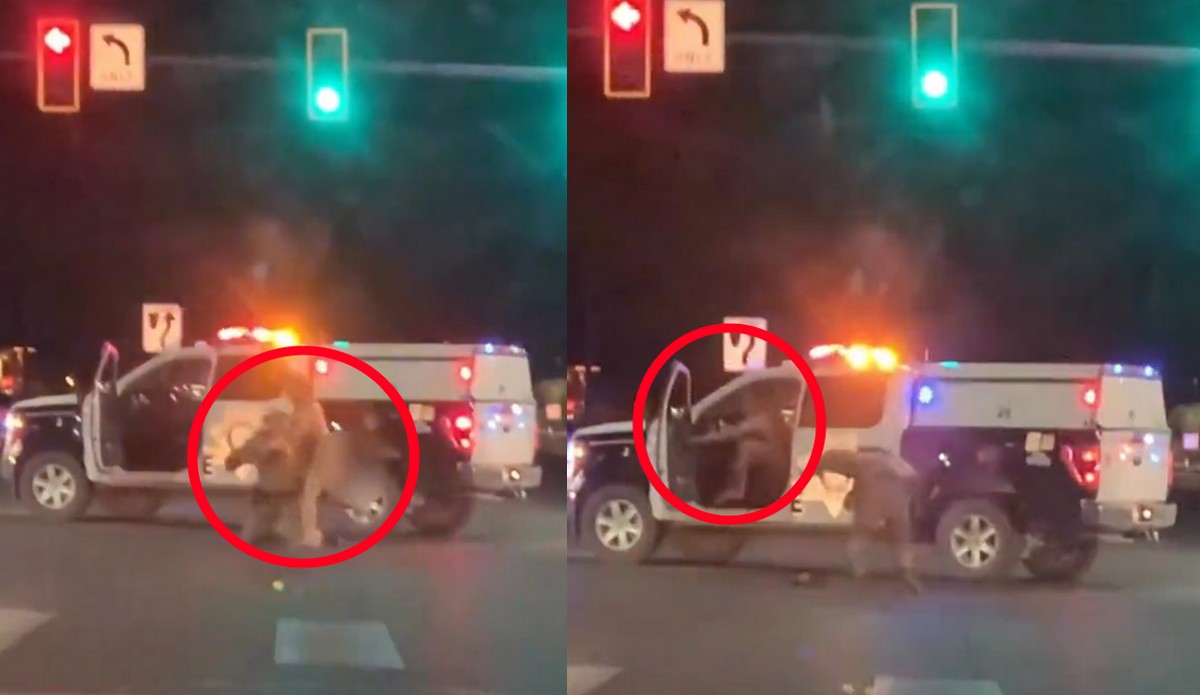 Las Vegas: nagi gość pobił się z policjantem, a potem ukradł mu radiowóz