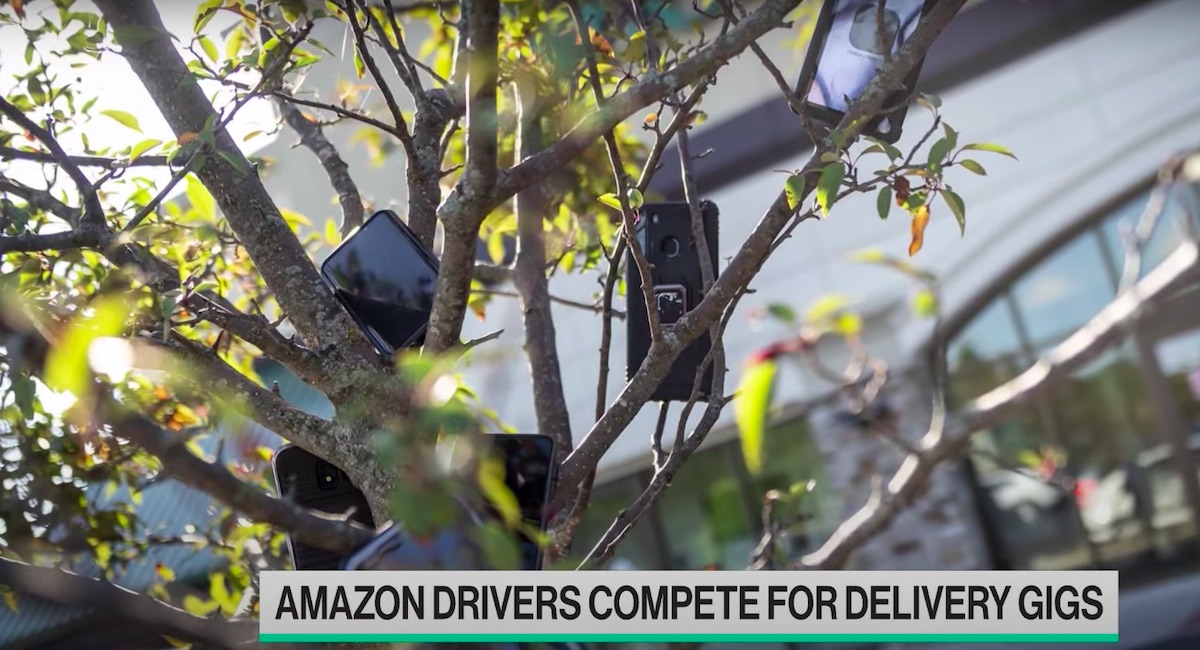 USA: kierowcy Amazona wieszają telefony na drzewie, żeby szybciej złapać zlecenie