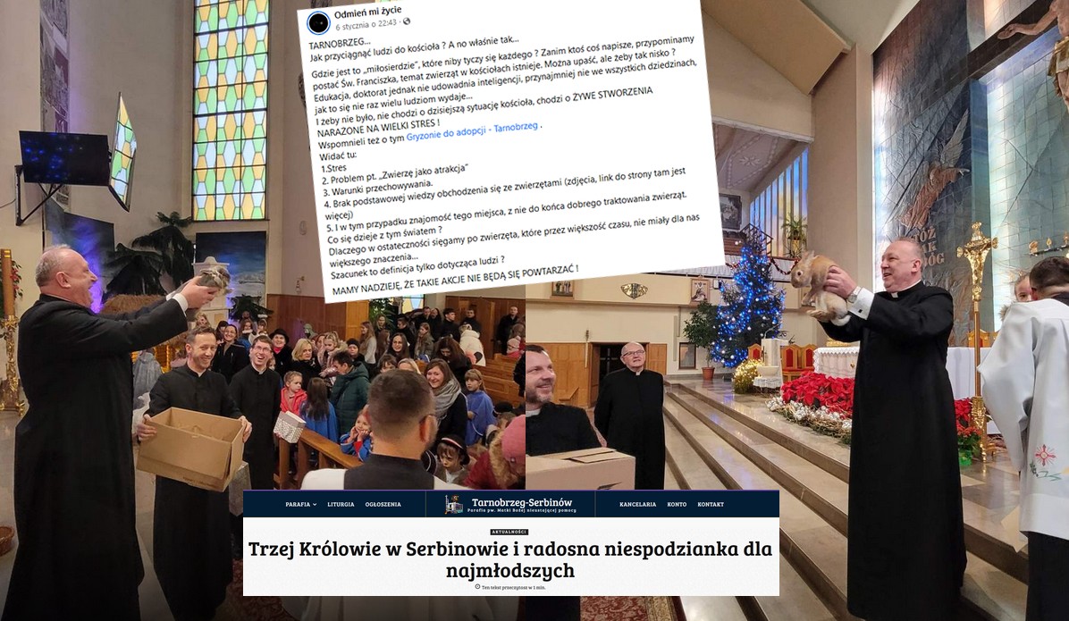 Tarnobrzeg: jedna z parafii zorganizowała losowanie z żywymi królikami do wygrania