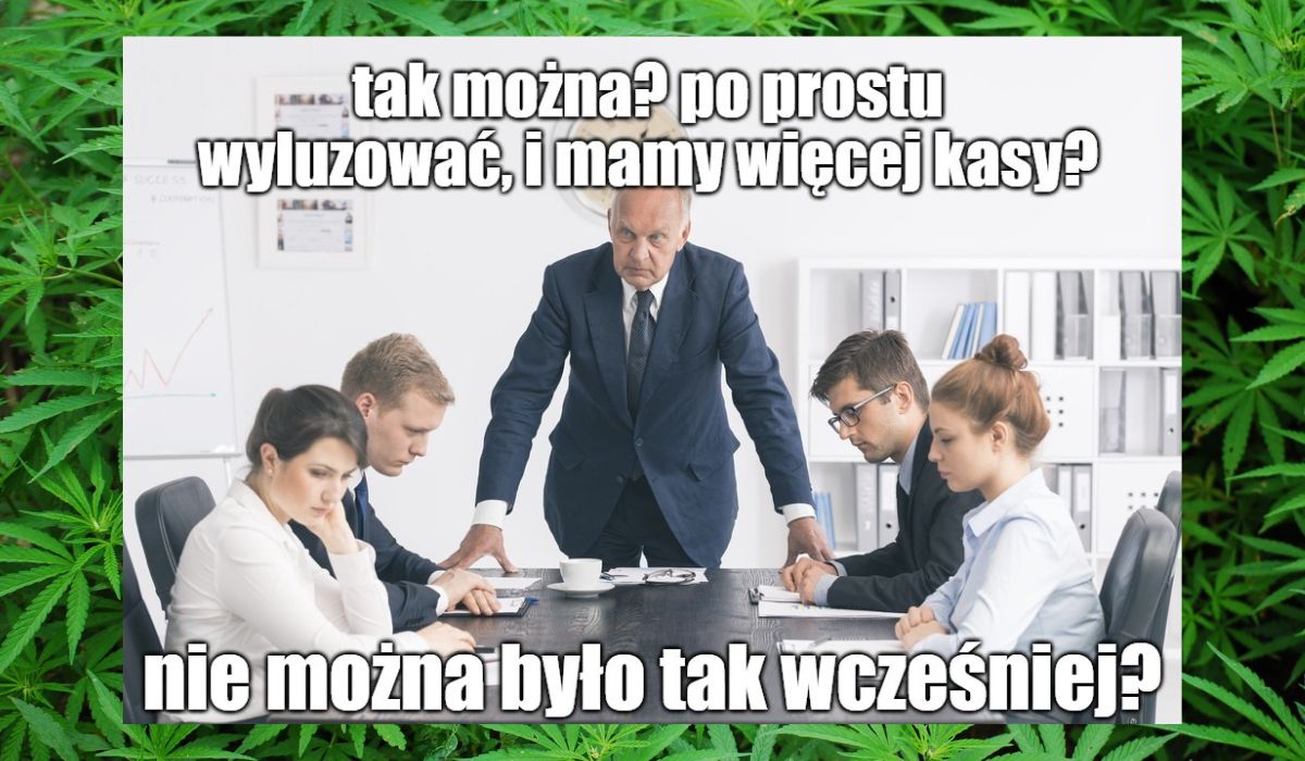 Niemcy: legalizacja marihuany mogłaby przynieść miliard euro oszczędności na samym ściganiu palaczy i sprzedawców