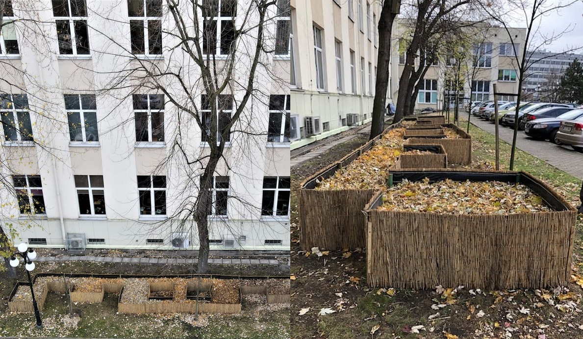 Studenci AGH zrobili osiedle dla jeży i planują kolejne