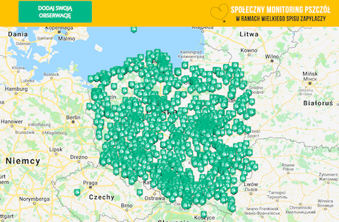 Co Greenpeace robi z pieniędzmi, które zbiera na pszczoły