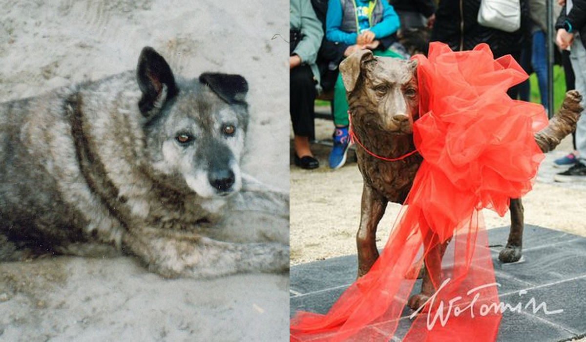 W Wołominie odsłonięto pomnik psa, który zamieszkał na dworcu po śmierci swojego właściciela-kolejarza