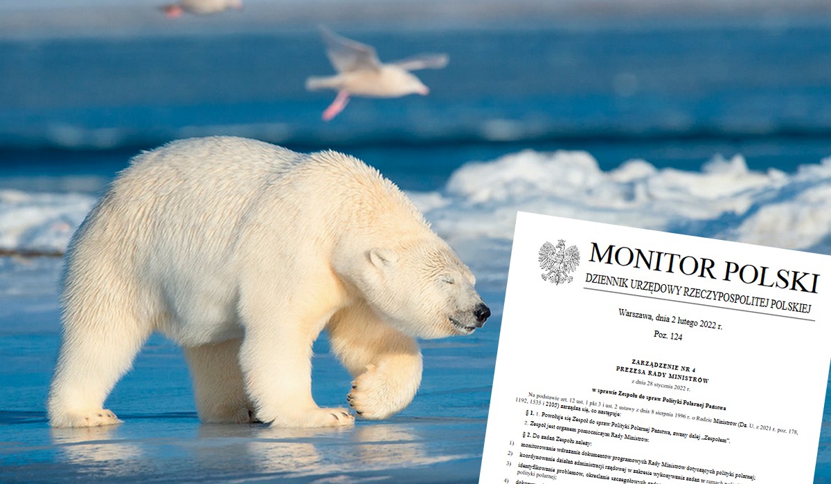 Premier powołał rządowy zespół, który szuka sposobu zarobku na katastrofie klimatycznej: Polska Polityka Polarna