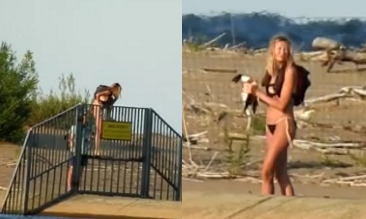 Patoturyści włamali się do rezerwatu przyrody w czasie okresu lęgowego, żeby porobić sobie fotki