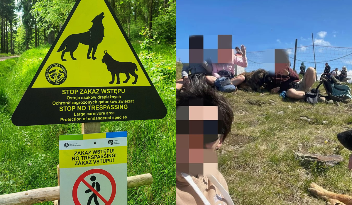 Park w Karkonoszach musi dodatkowo upominać turystów, bo włażą naturze w szkodę pomimo siatek i ostrzeżeń