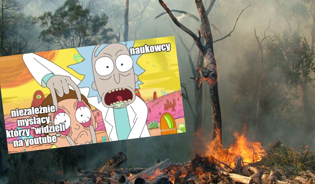 Badanie: najwięcej fejków w europejskim internecie dotyczy katastrofy klimatycznej, potem wojny i pandemii