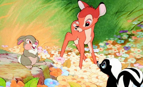 Kara dla kłusownika: sąd kazał mu oglądać film Bambi 