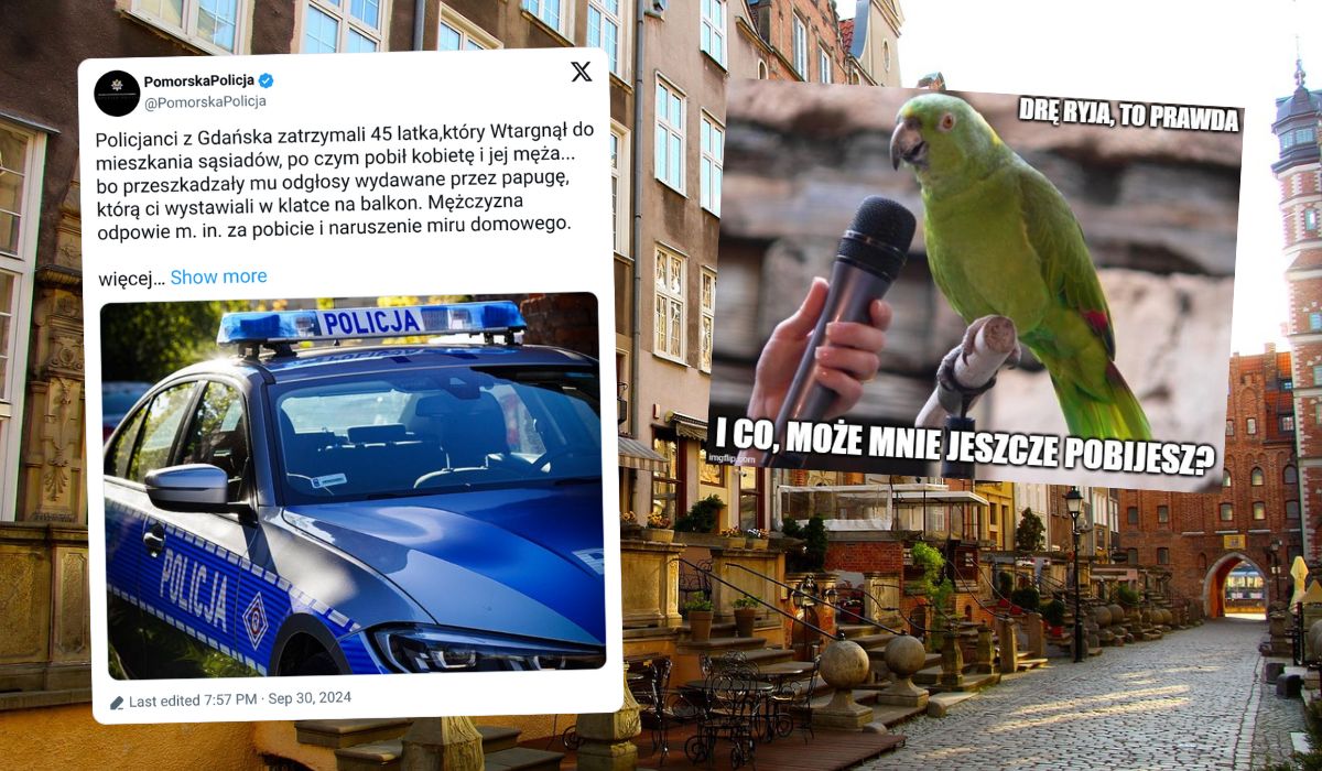Gdańsk: Pobił sąsiadów, bo rozzłościła go ich papuga na balkonie