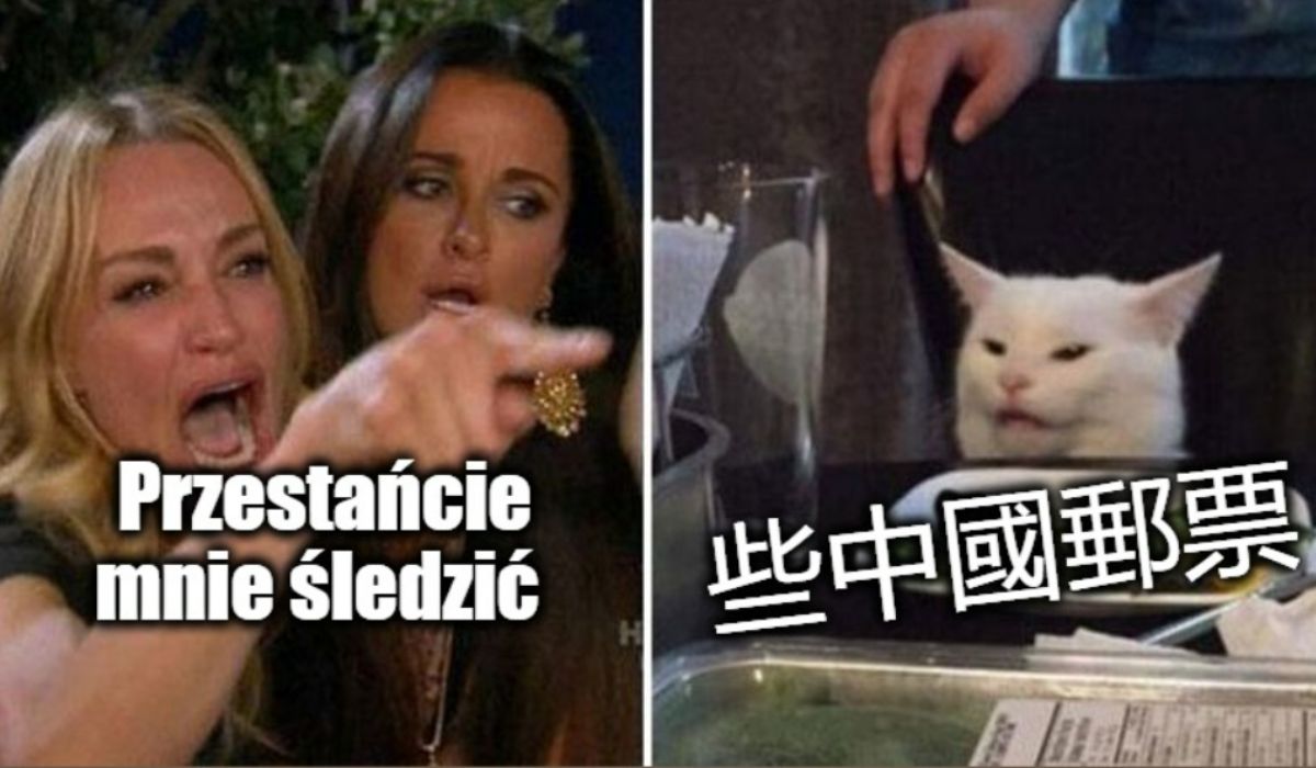 TikTok inwigilował dziennikarkę używając profilu jej kota