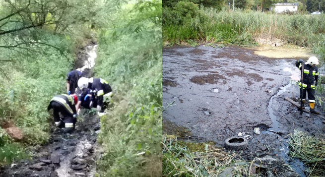 Ekoterrorysta spuścił wodę ze stawu, okoliczni mieszkańcy i strażacy ratowali ponad 500 ryb uwięzionych w błocie