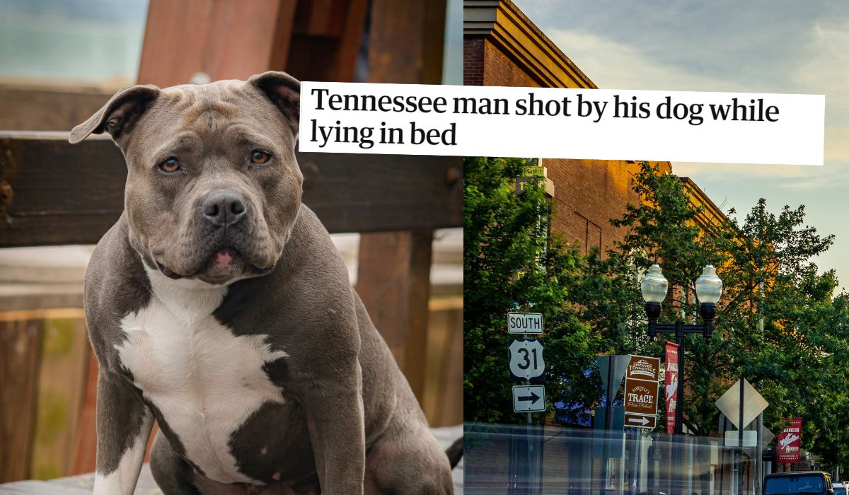 USA: pies zahaczył nogą o naładowaną broń, właściciel został postrzelony 