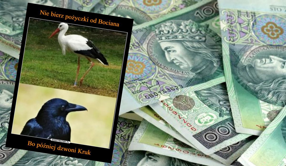 BIK: Polacy pożyczają w firmach pożyczkowych coraz więcej i coraz częściej