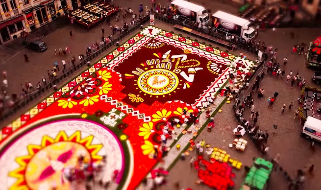 Być może chcesz zobaczyć układanie instalacji z miliona begonii