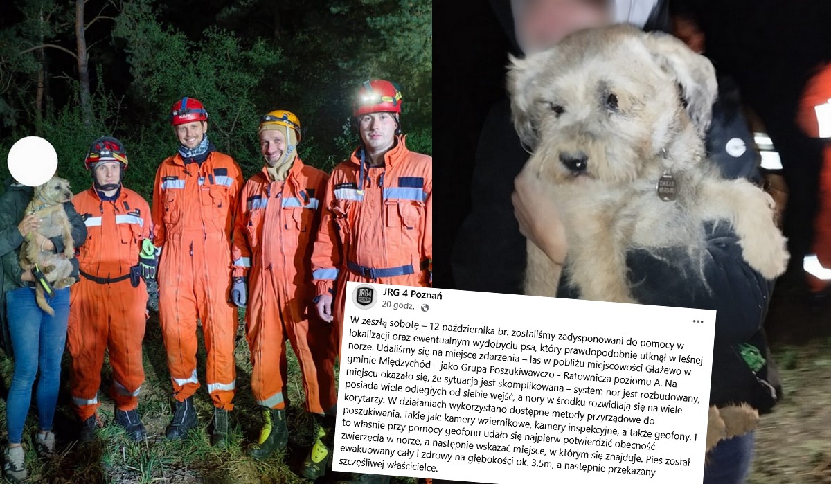 Głażewo: strażacy uratowali psinę z giga głębokiej nory