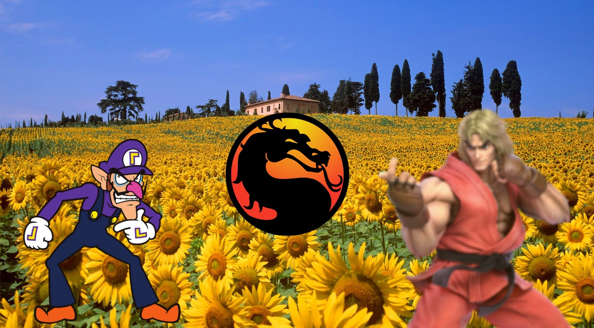 Włochy: romantyczna sesja ślubna młodej pary skończyła się bójką z rolnikiem, któremu wleźli w słoneczniki