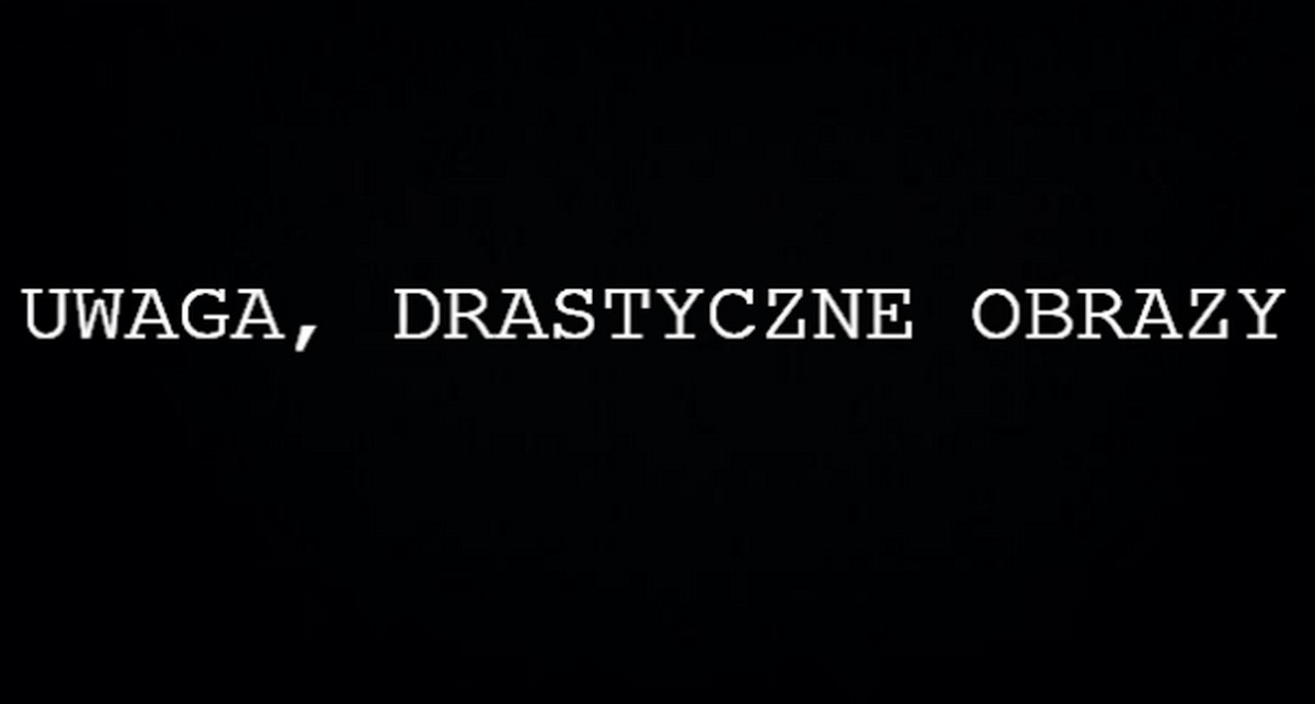 Sanktuarium w Kałkowie ma żywą szopkę, w której dzikie psy gryzą owcę, ksiądz nie reaguje