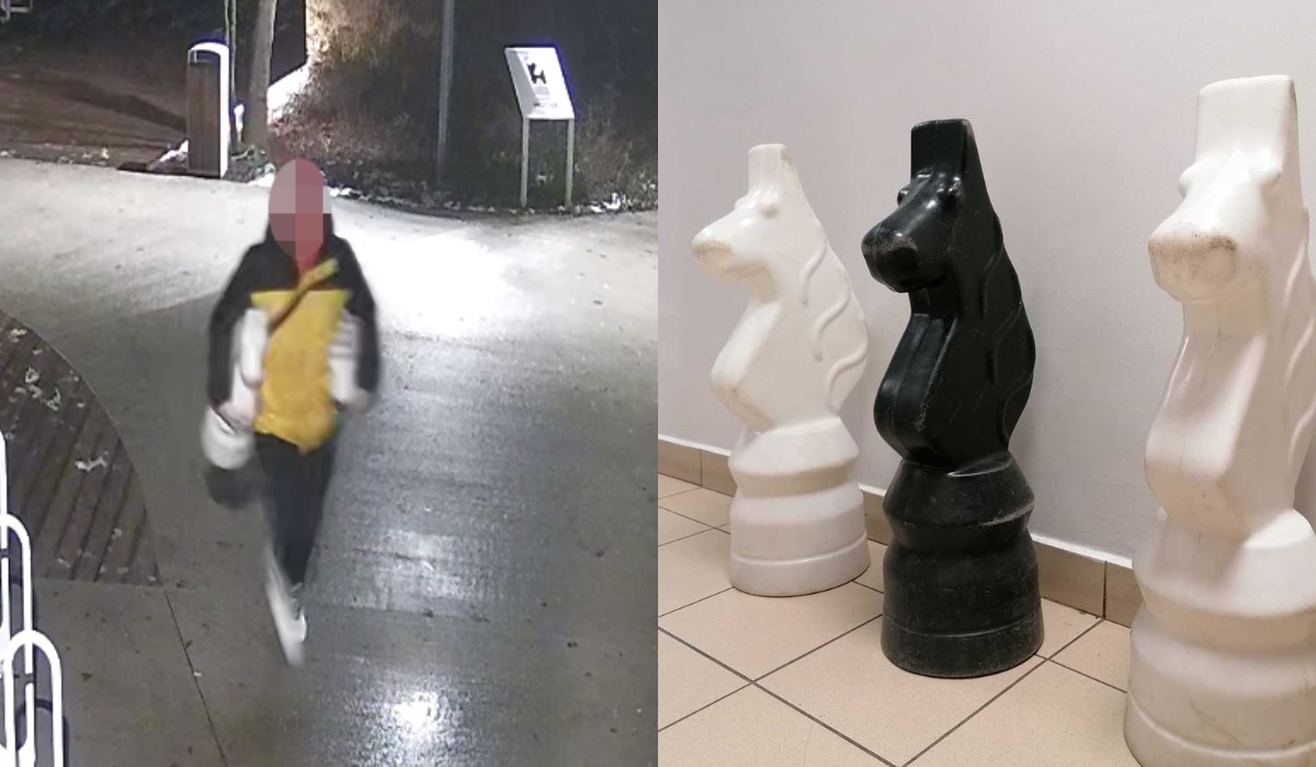 Niepołomice: zatrzymano trzech złodziei figur z wielkiej szachownicy, okazało się, że każdy chciał konika w pokoju
