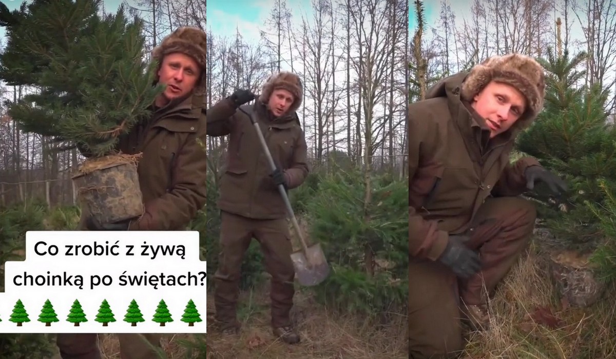 Lasy Państwowe przygotowały film i doradzają jak postępować z choinką po świętach