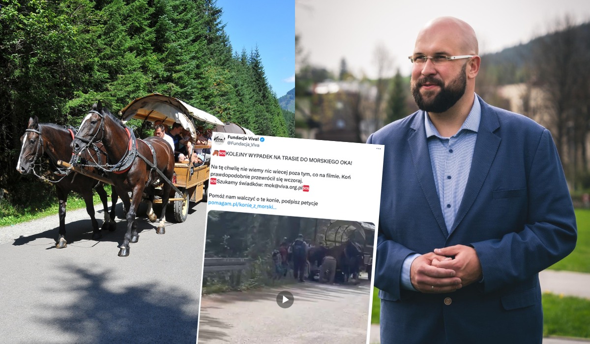 Burmistrz Zakopanego po wypadku z koniem na trasie do Morskiego Oka proponuje powozy wspomagane elektrycznie