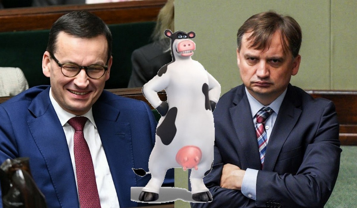 Premier Morawiecki kłóci się z Ziobrą i wytykają sobie błędy, tak akurat przed wyborami