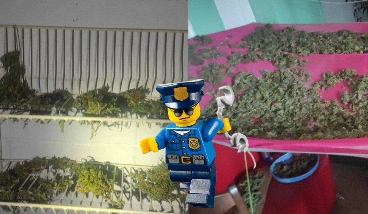 Lubin: policjanci wykryli skład marihuany, ponieważ bardzo pachniało marihuaną