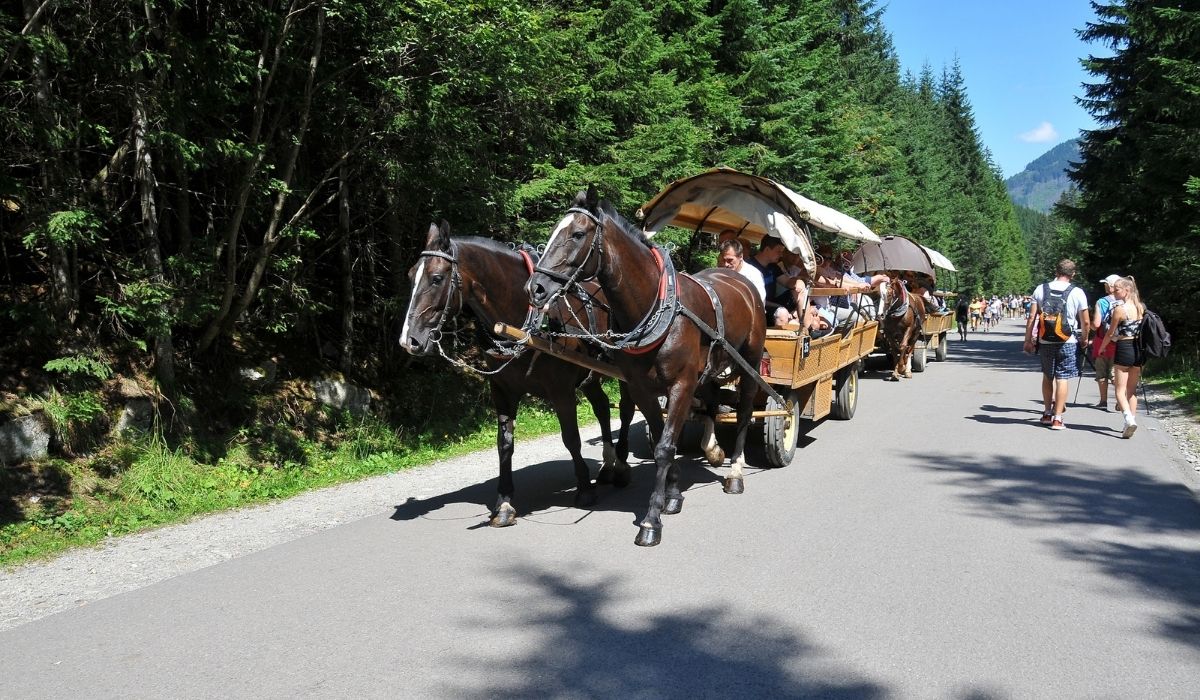 Fiakrzy z Morskiego Oka prawomocnie skazani za znęcanie się nad końmi