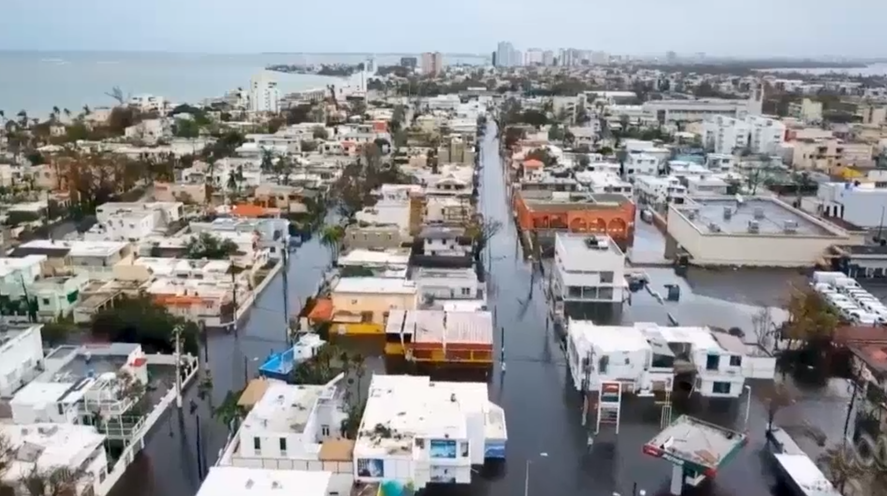 Miliarderzy chcą stworzyć w Portoryko raj dla kryptowalut