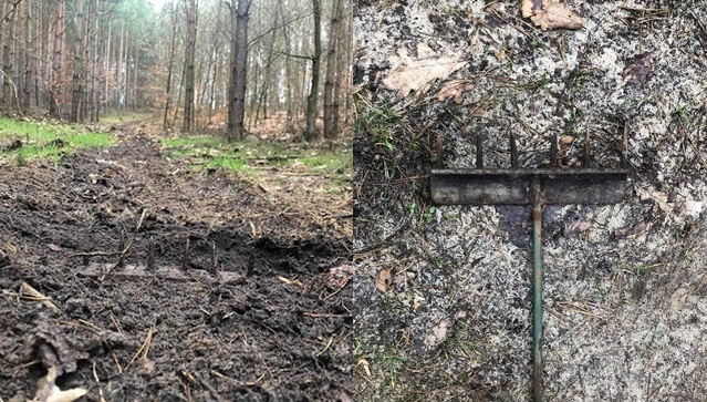 Ktoś rozstawia w lasach niebezpieczne pułapki na quadowców